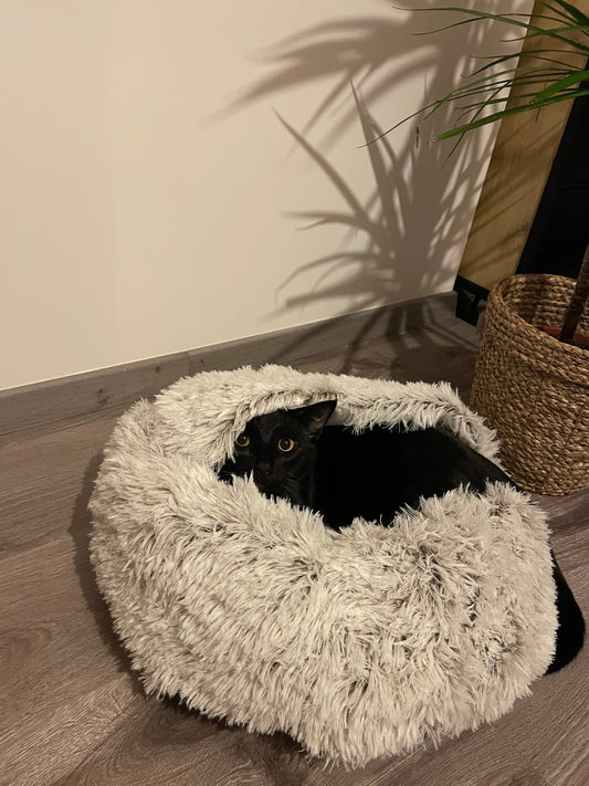 Le premier nid douillet de Vador - Chat noir dans son couchage