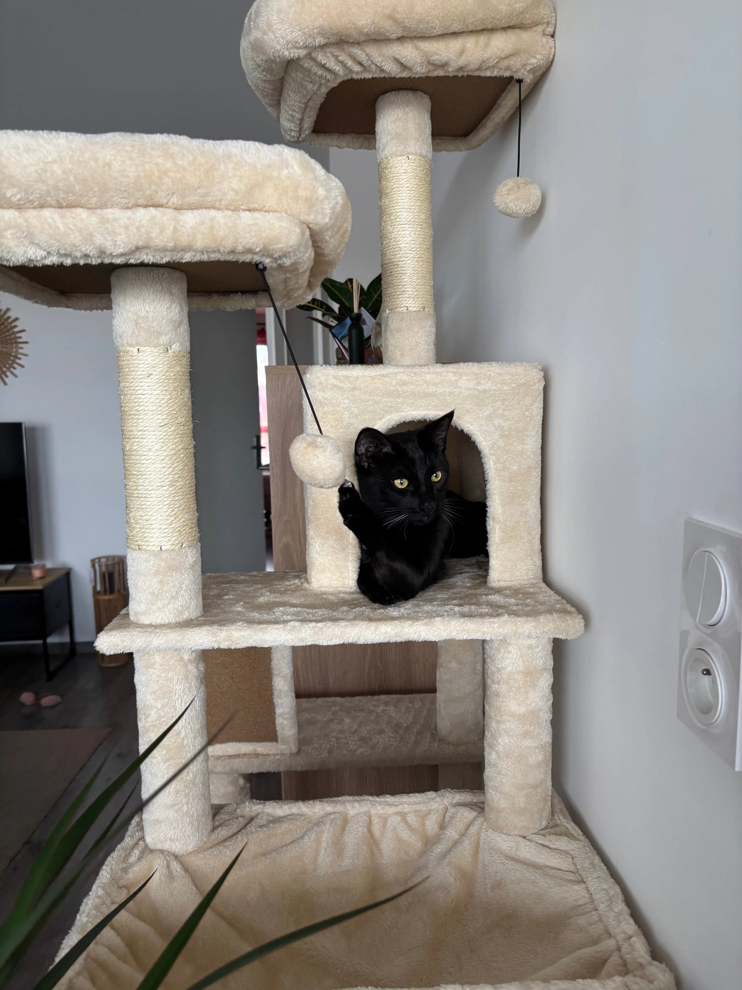 Arbre à Chat Haut Coeur de Chat, un chat noir joue avec un pompon et est dans une cachette