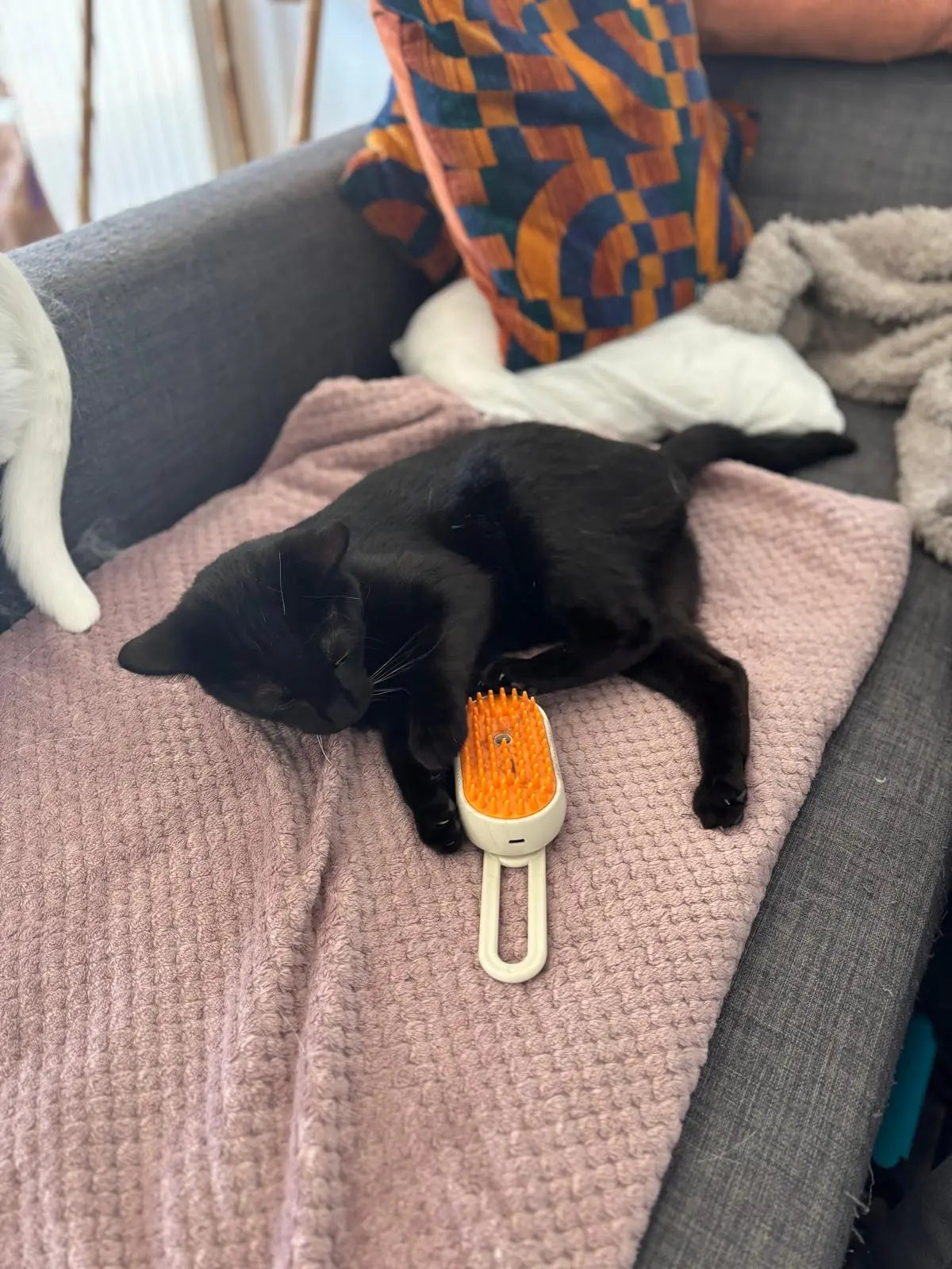 Brosse avec manche Coeur de Chat - un chat noir est allongé à côté de la brosse