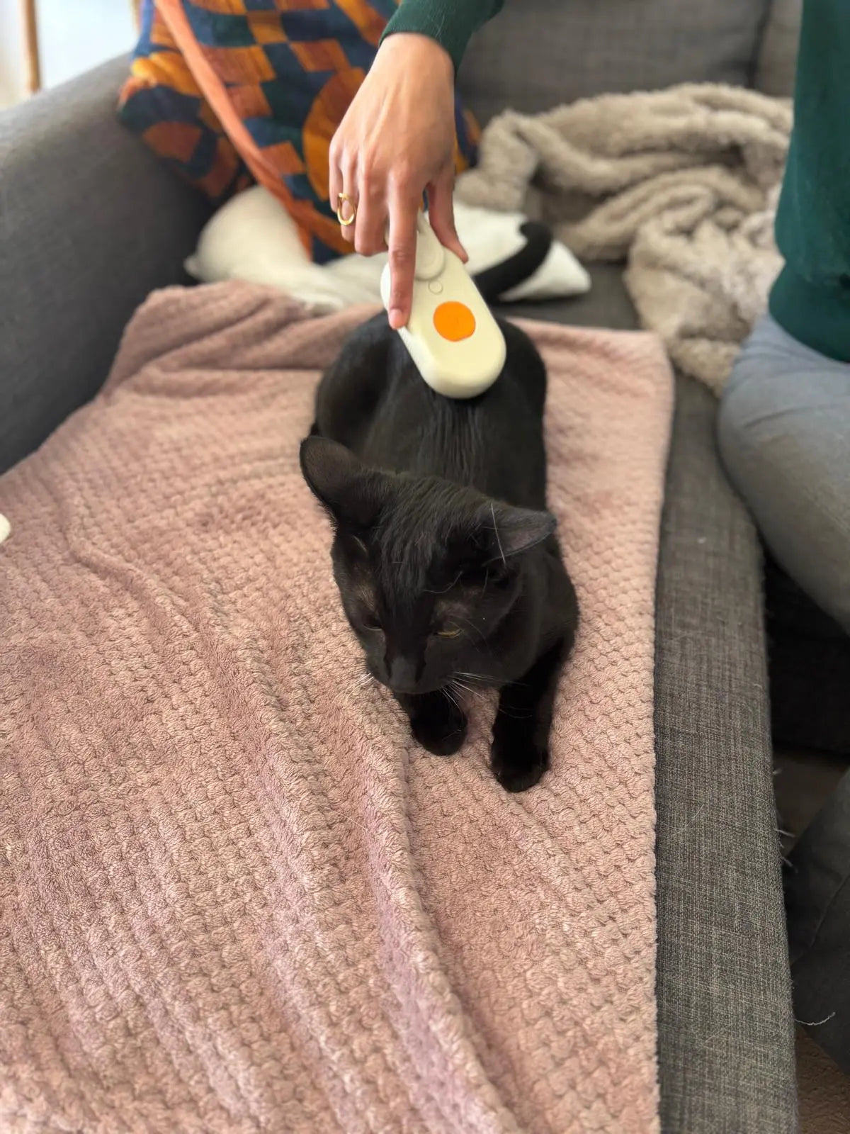Brosse avec manche Coeur de Chat - brossage d'un chat noir
