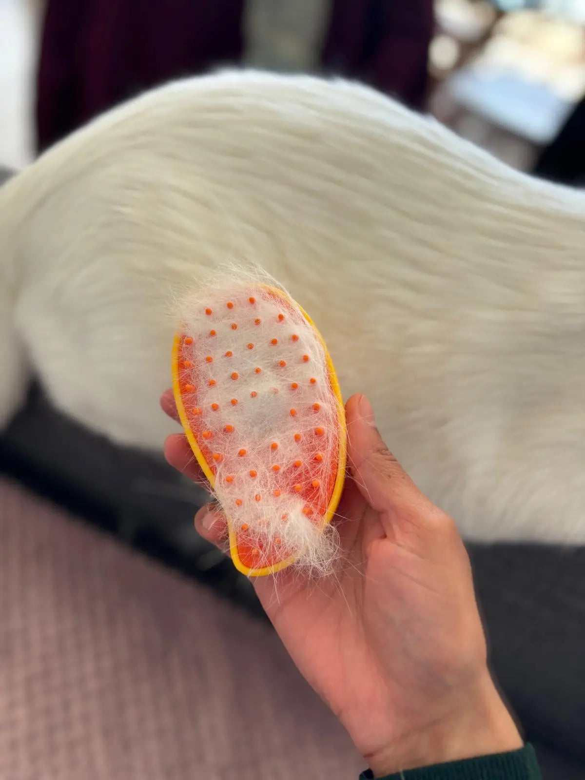 Brosse spéciale poils de chat Coeur de Chat - montre les poils dans la brosse après brossage