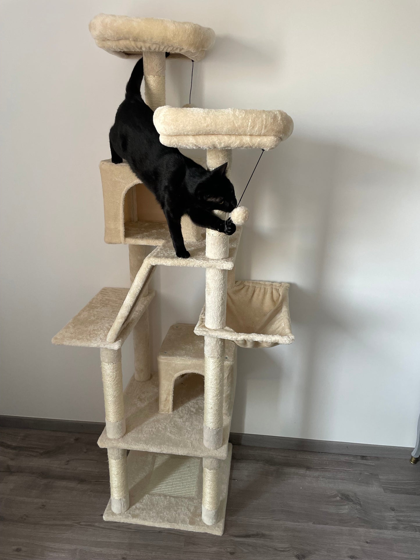 Arbre à Chat Haut Coeur de Chat, un chat noir s'amuse
