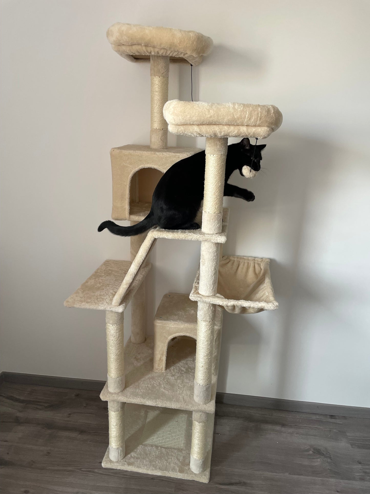 Arbre à Chat Haut Coeur de Chat, un chat noir à mi-hauteur a dans la bouche l'un des pompon