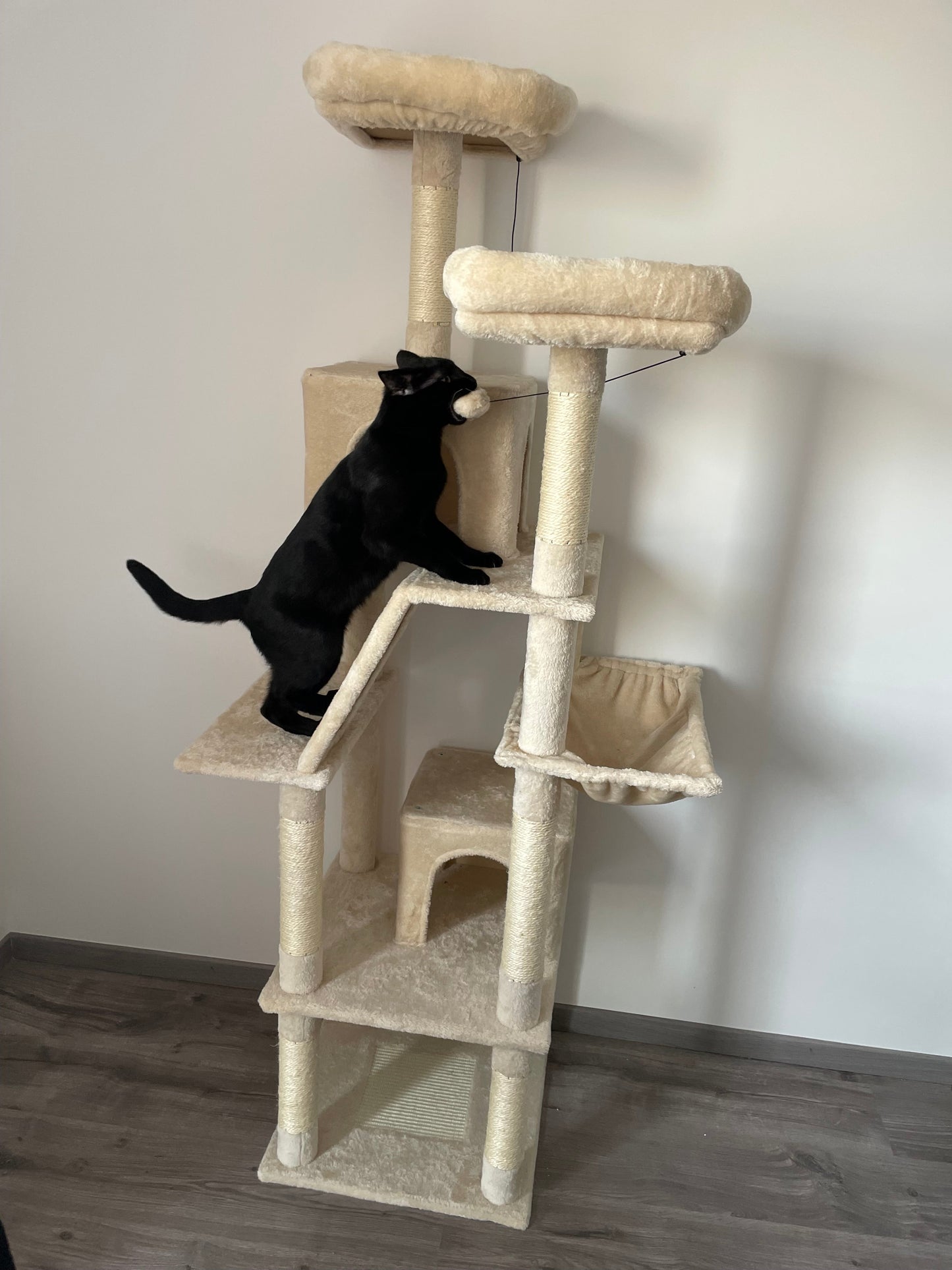 Arbre à Chat Haut Coeur de Chat, un chat noir tire avec sa gueule sur un des pompon