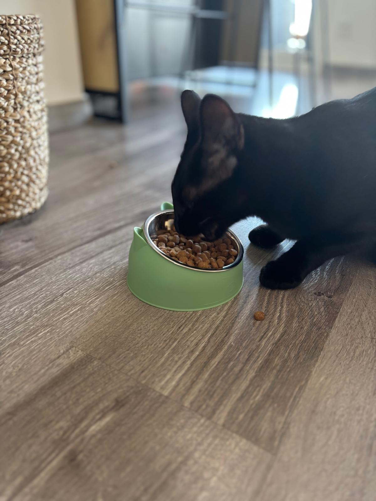 Gamelle en acier inoxydable Coeur de Chat, un chat noir mange ses croquettes