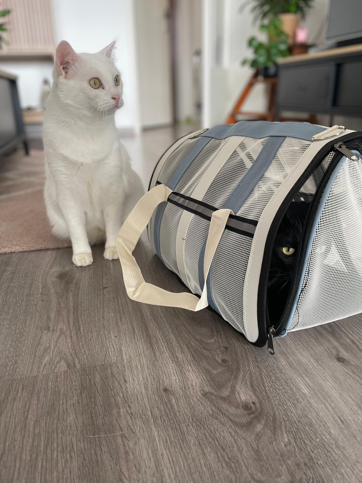 Sac de transport pour chat Coeur de Chat