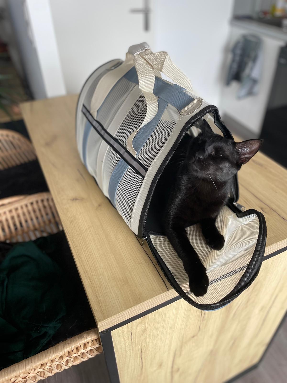 Sac de transport pour chat Coeur de Chat