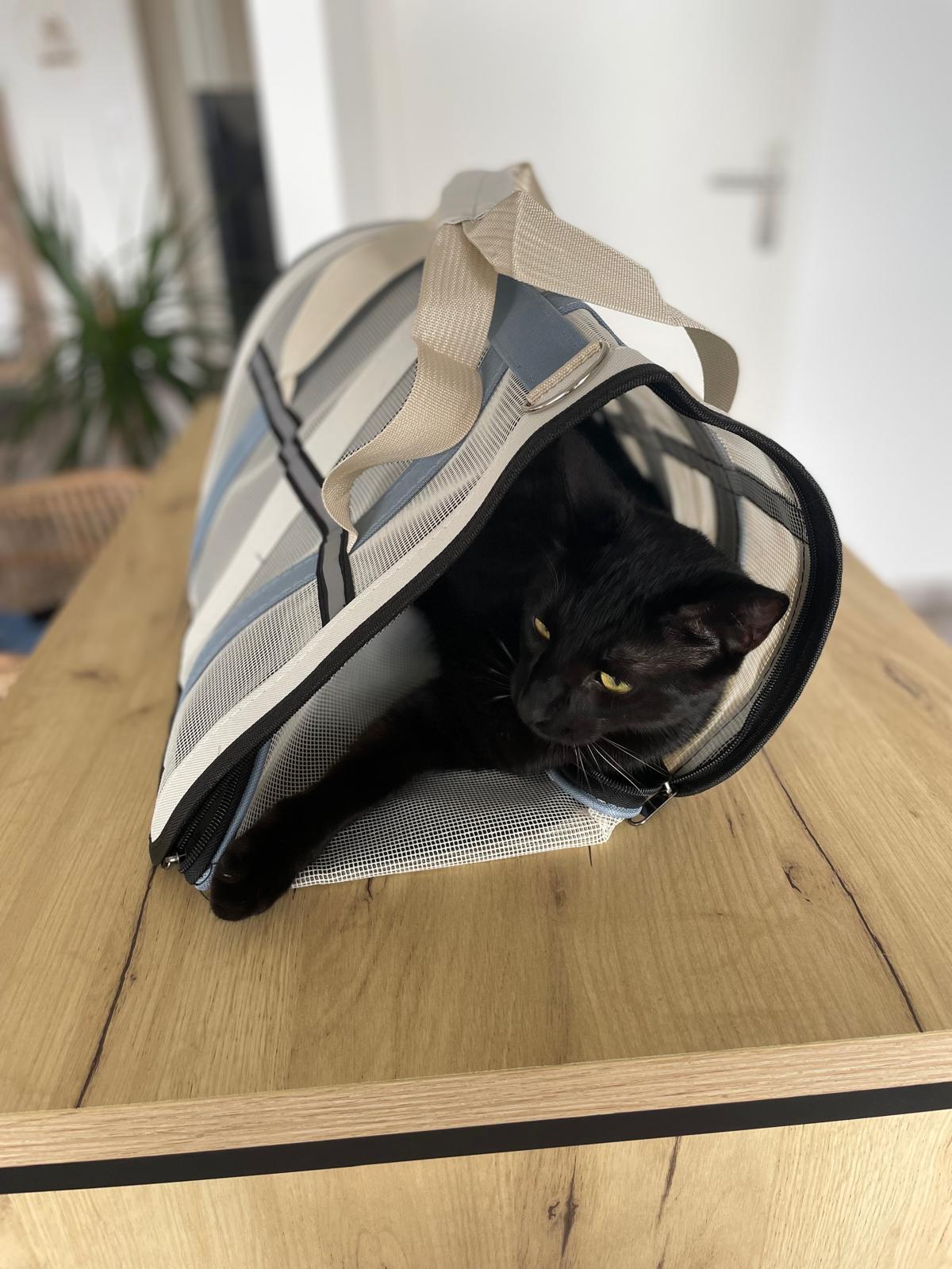 Sac de transport pour chat Coeur de Chat