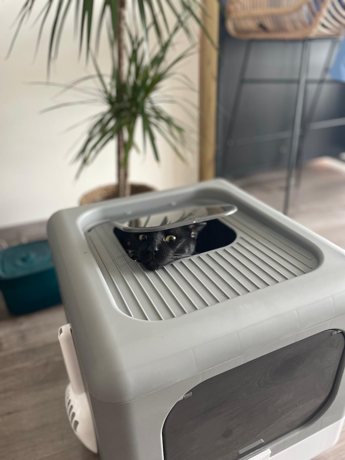 Bac à litière pour chat avec pelle et tamis Coeur de Chat