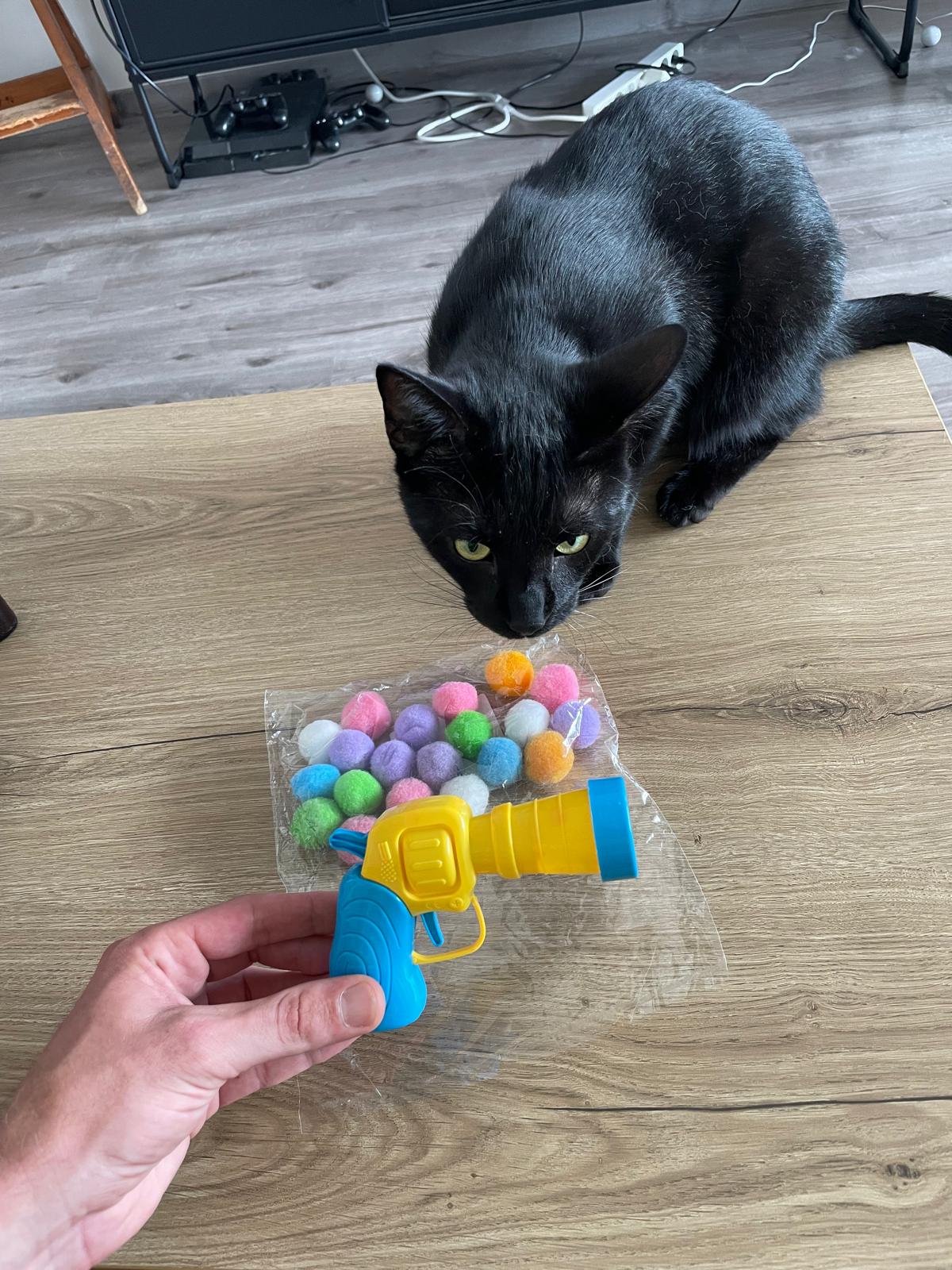 Lanceur de balles en peluche pour chat Coeur de Chat