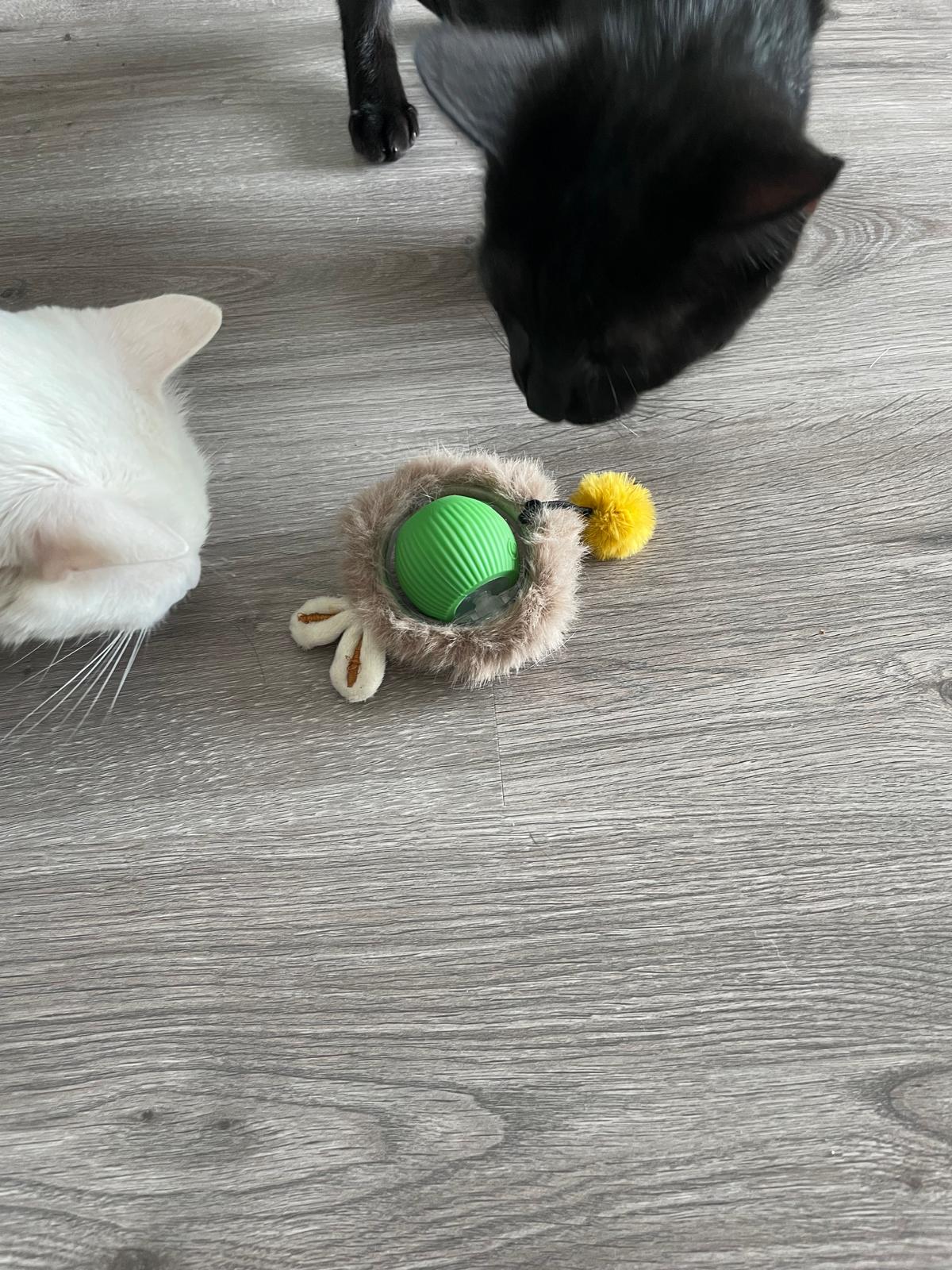 Balle électrique interactive pour chat Coeur de Chat