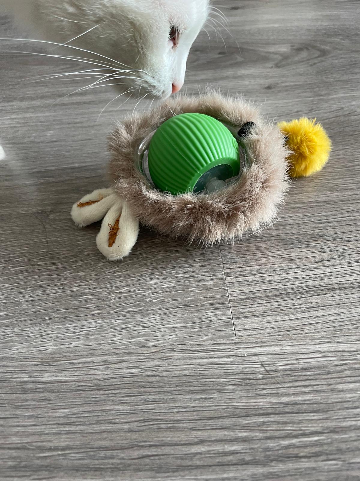 Balle électrique interactive pour chat Coeur de Chat