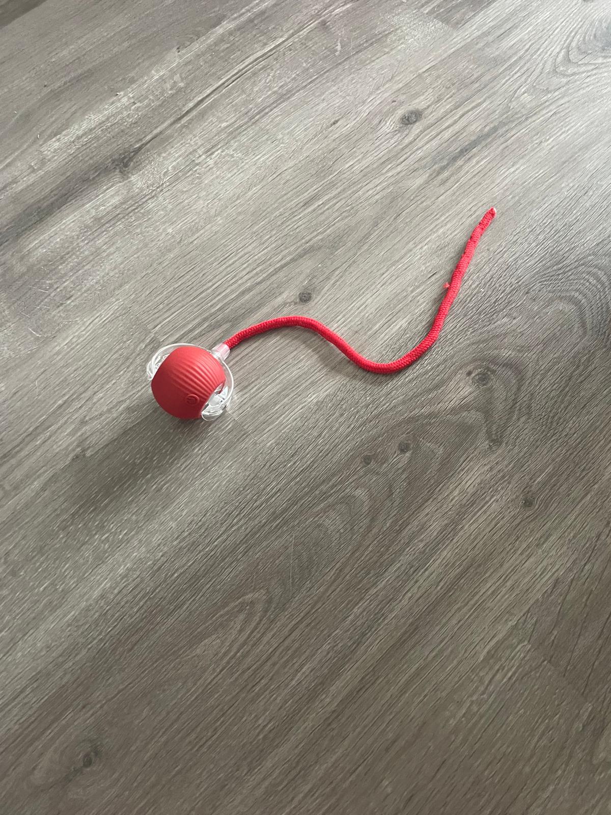 Balle électrique interactive pour chat Coeur de Chat