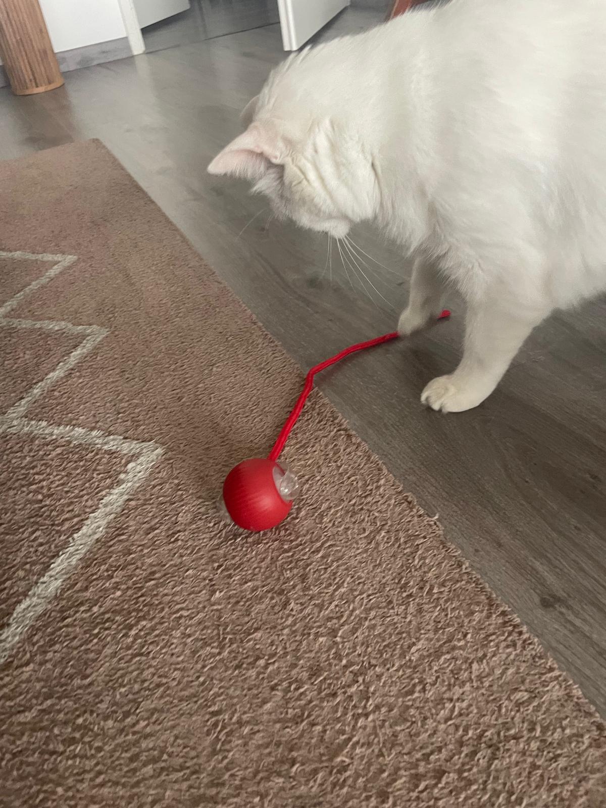 Balle électrique interactive pour chat Coeur de Chat