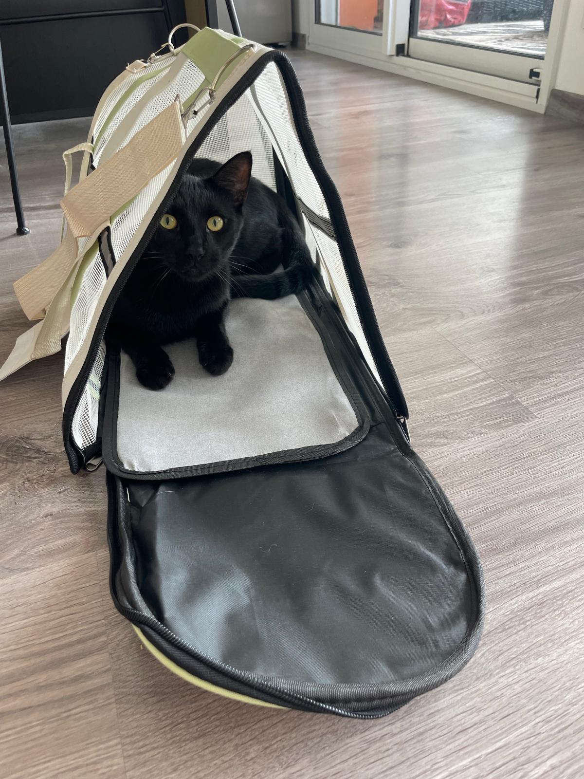 Sac de transport pour chat Coeur de Chat