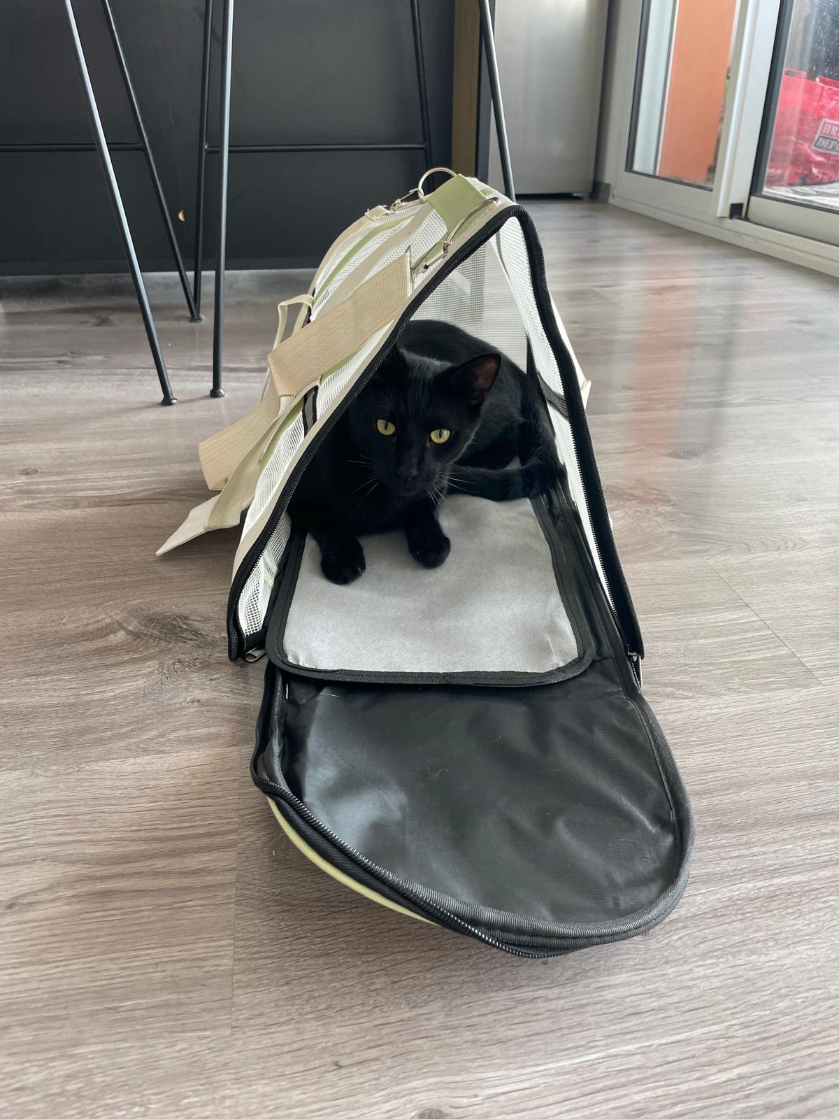 Sac de transport pour chat Coeur de Chat