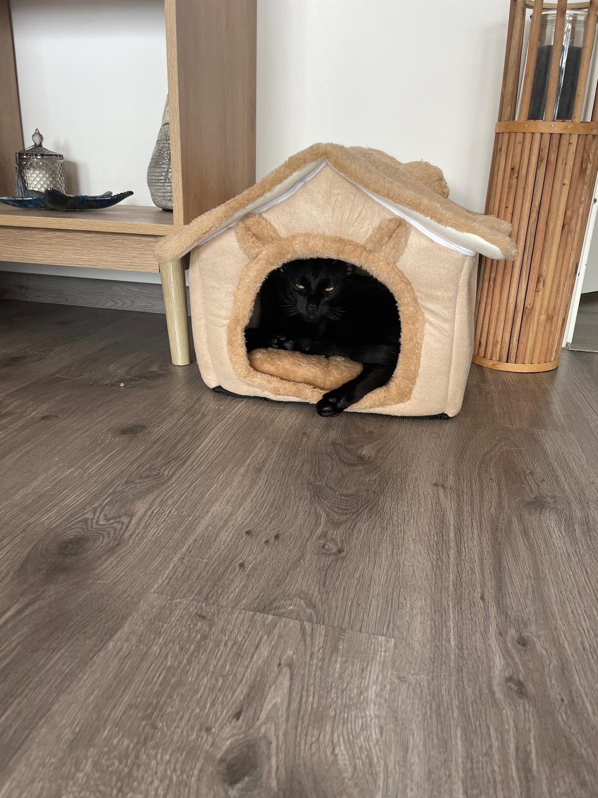 Caverne pour chat – Maison confortable lavable en machine Coeur de Chat