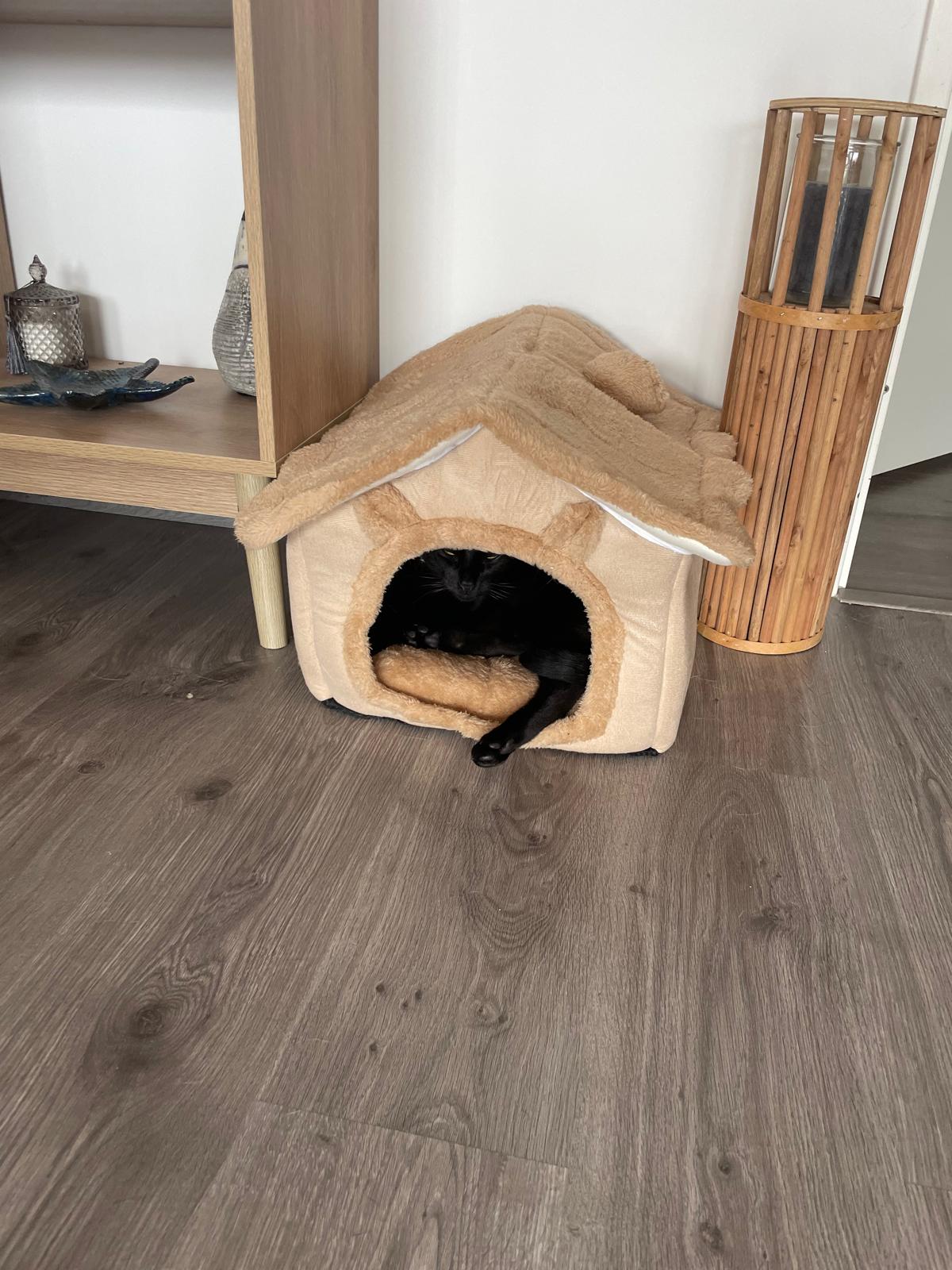 Caverne pour chat – Maison confortable lavable en machine Coeur de Chat