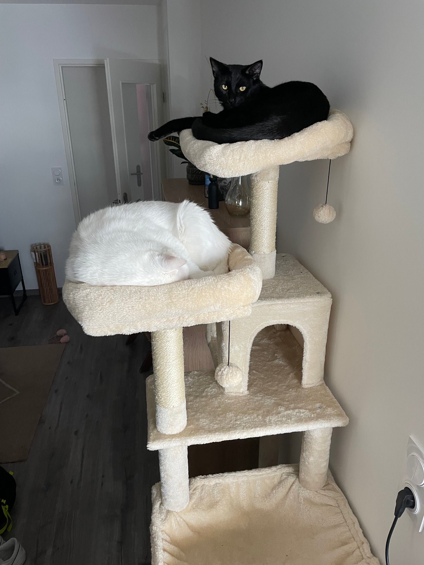 Arbre à Chat Haut Coeur de Chat, un chat noir et un chat blanc sont chacun sur une passerelle située à 1m80 du sol