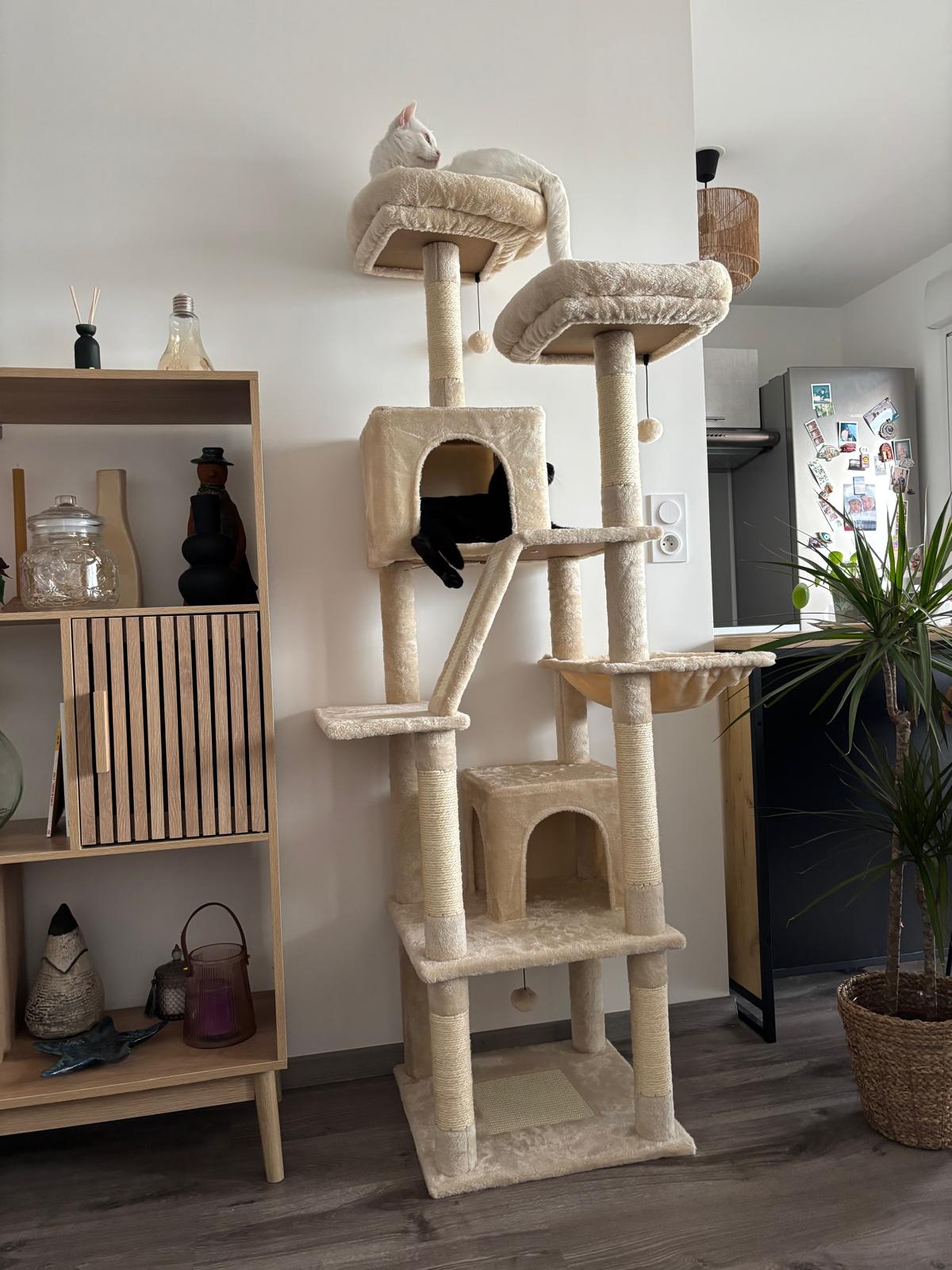 Arbre à Chat Haut Coeur de Chat, un chat blanc est sur la passerelle tout en haut et un chat noir est dans une cachette