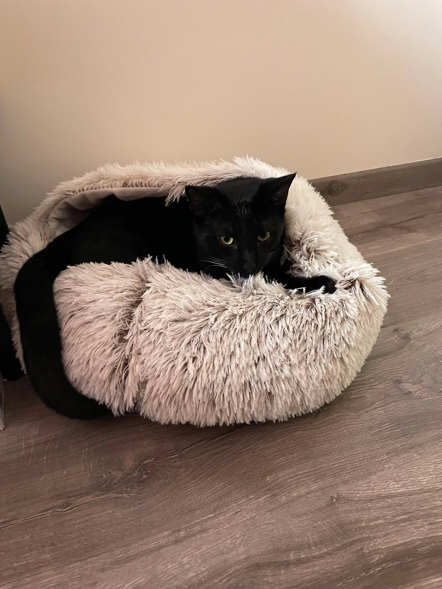 Nid douillet Coeur de Chat, un chat noir nous regarde alors qu'il est allongé dans le panier douillet