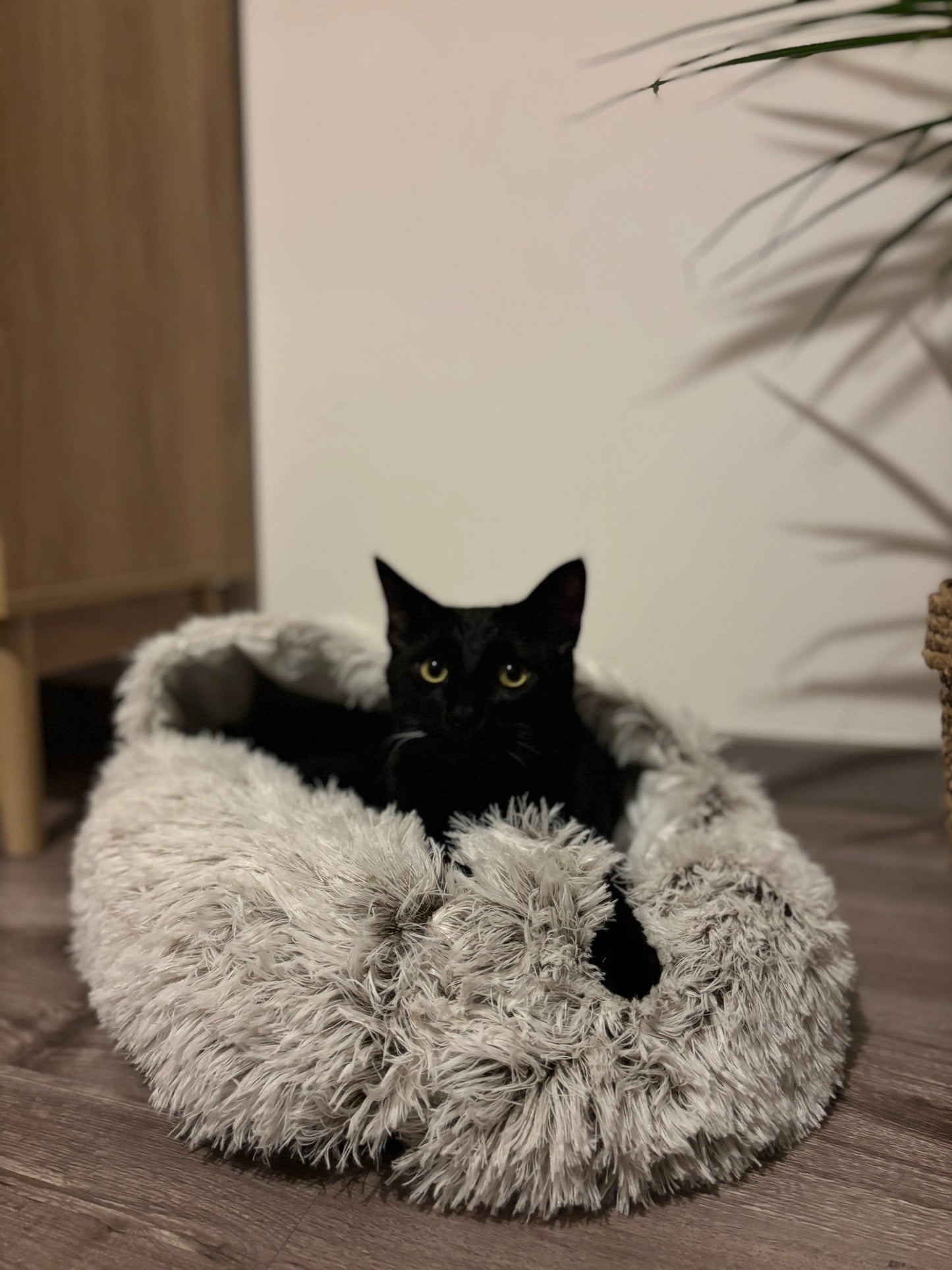 Nid douillet Coeur de Chat, un chat noir nous regarde alors qu'il est allongé dans le panier douillet