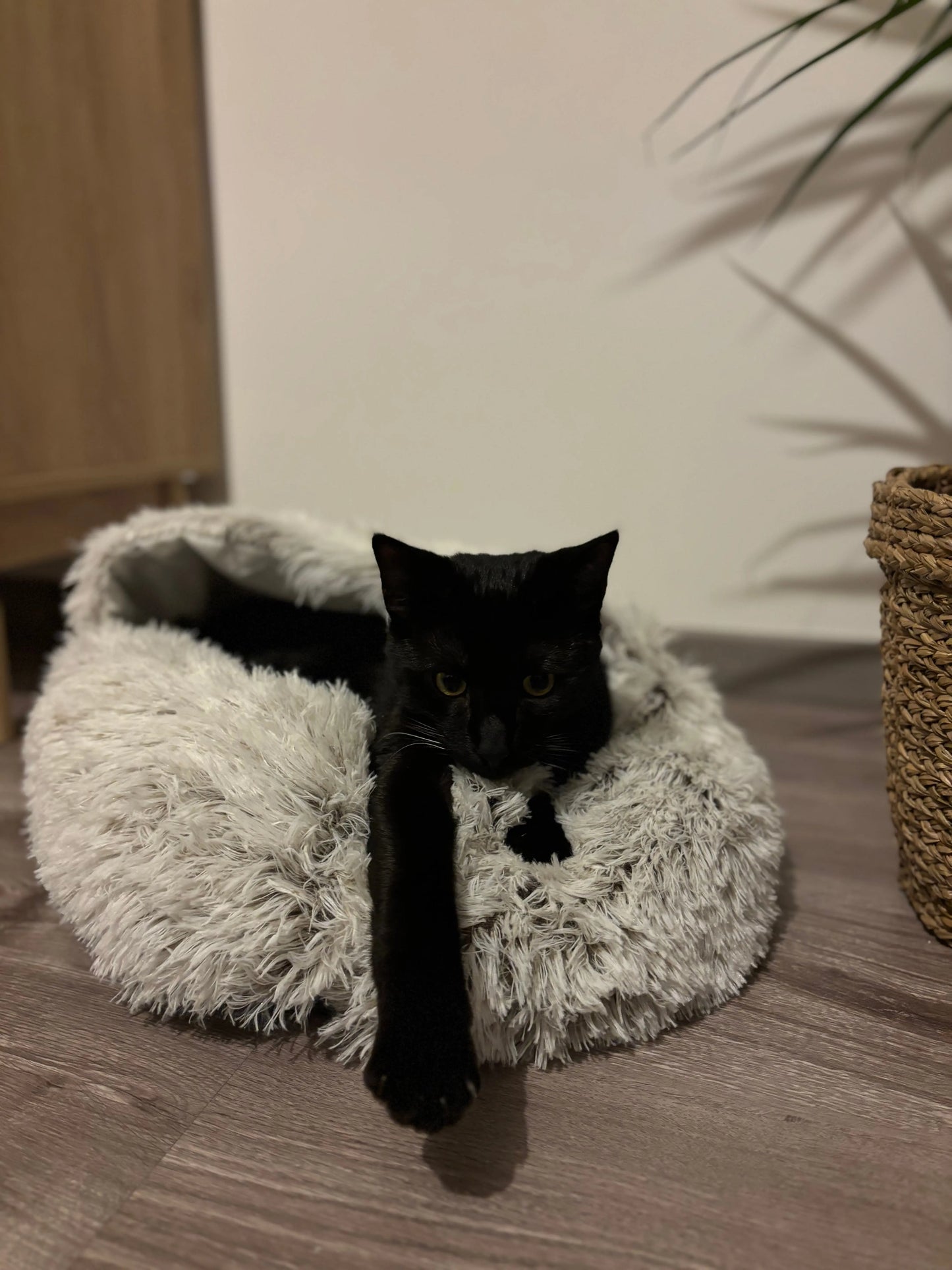 Nid douillet Coeur de Chat, un chat noir nous regarde alors qu'il est allongé dans le panier douillet