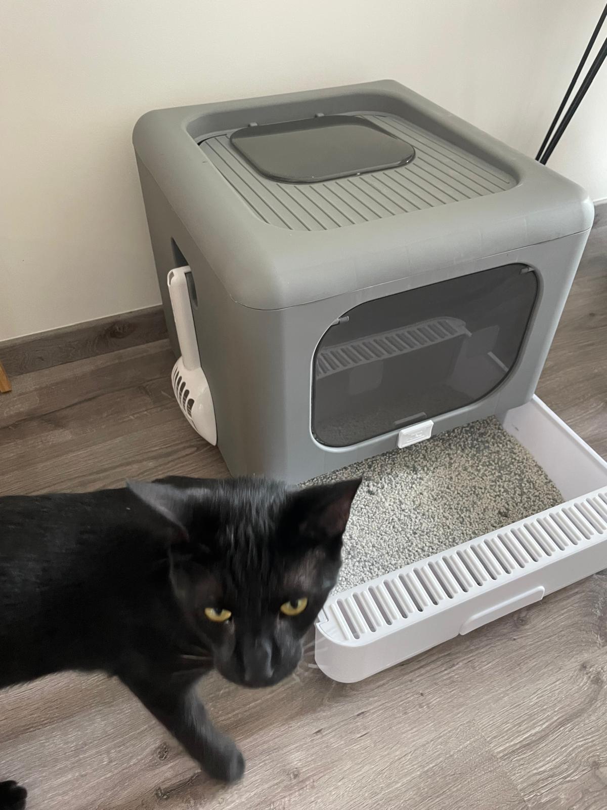 Bac à litière pour chat avec pelle et tamis Coeur de Chat