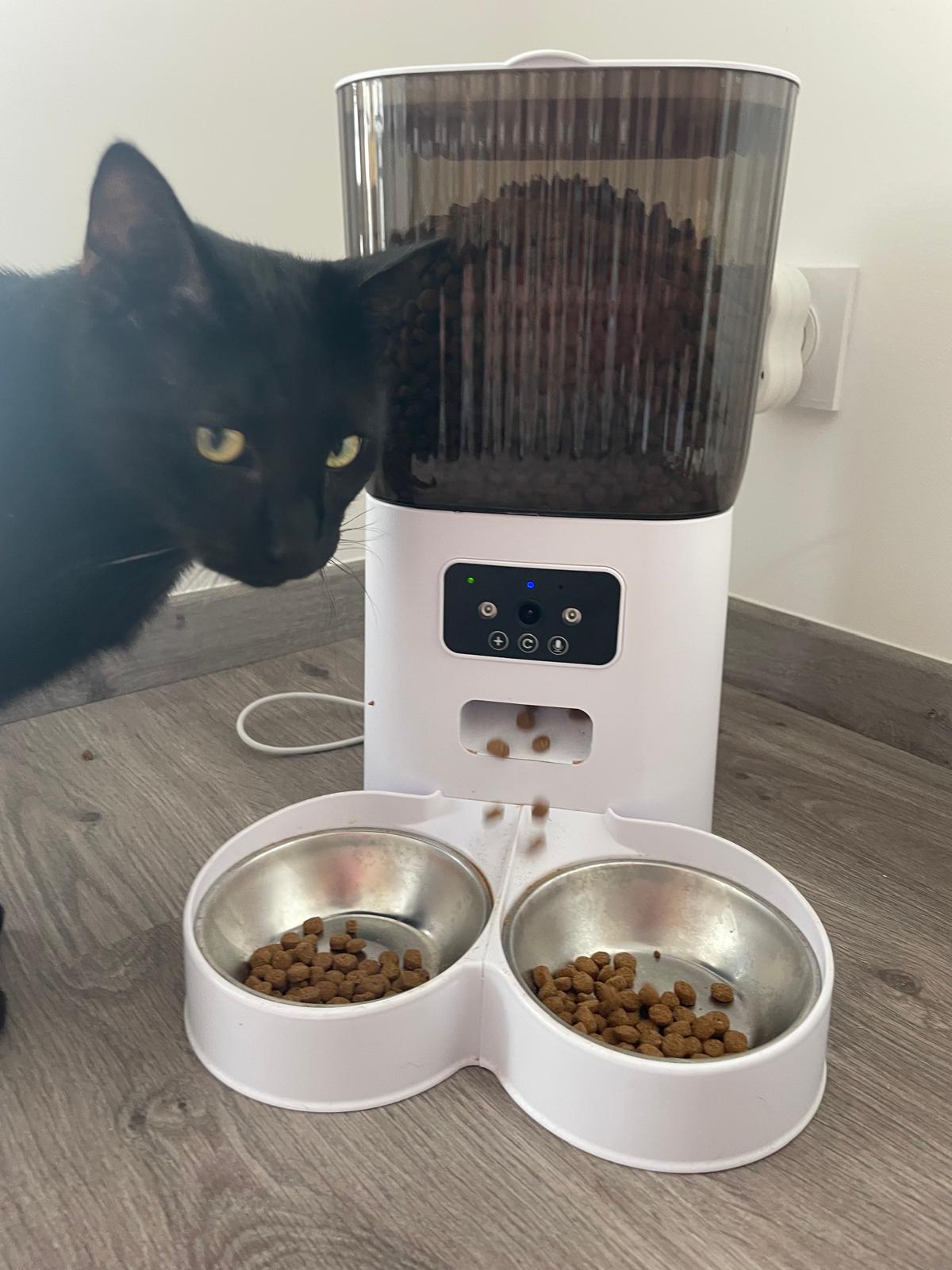 Distributeur Automatique de Croquettes (avec ou sans caméra) Coeur de Chat