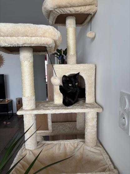 Arbre à Chat Haut Coeur de Chat, un chat noir joue avec un pompon et est dans une cachette 