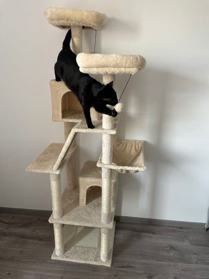 Arbre à Chat Haut Coeur de Chat, un chat noir s'amuse