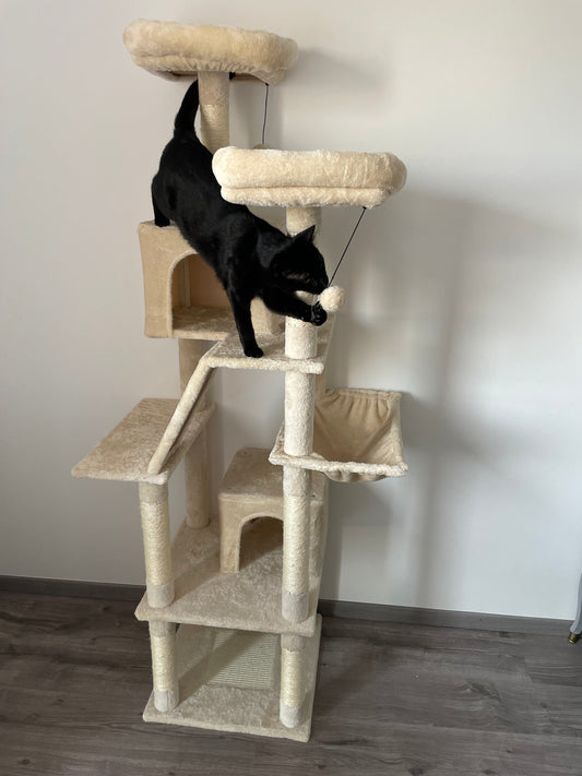 Arbre à Chat Haut Coeur de Chat, un chat noir s'amuse