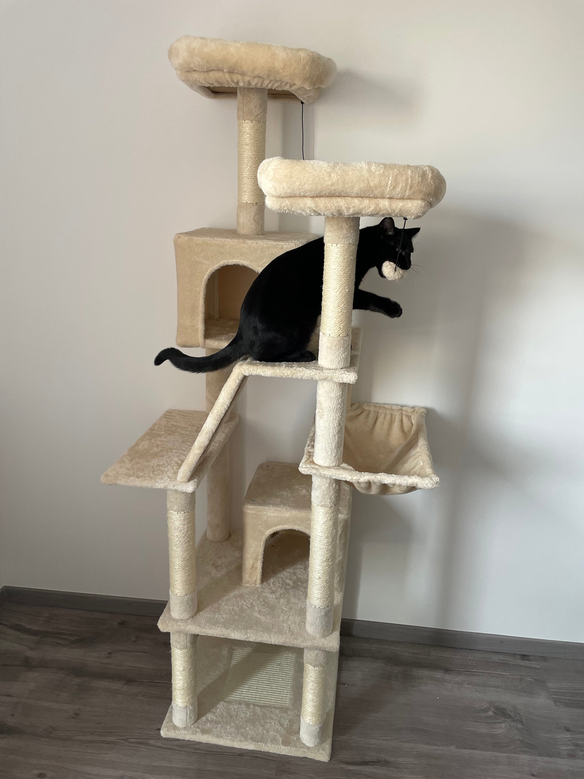 Arbre à Chat Haut Coeur de Chat, un chat noir à mi-hauteur a dans la bouche l'un des pompon
