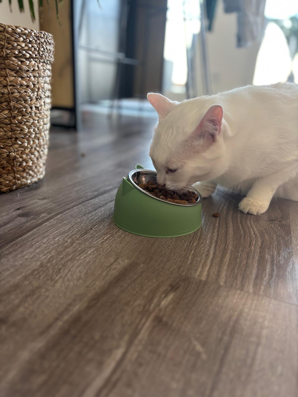 Gamelle en acier inoxydable Coeur de Chat, un chat blanc mange ses croquettes