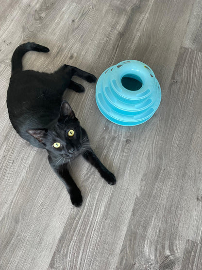 Jouet interactif pour chat à 3 niveaux avec balles colorées Coeur de Chat, un chat noir est allongé à côté du jeu