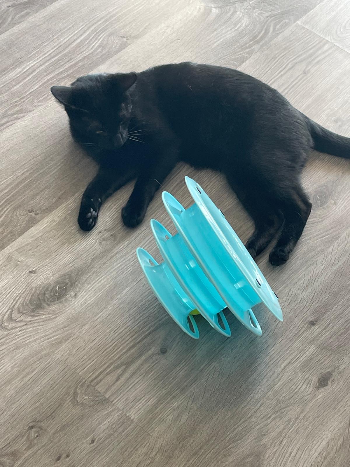 Jouet interactif pour chat à 3 niveaux avec balles colorées Coeur de Chat, un chat noir est allongé à côté du jeu qu'il a renversé