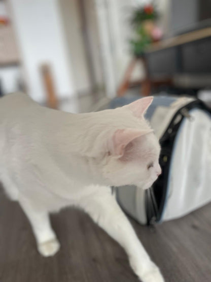 Sac de transport pour chat Coeur de Chat