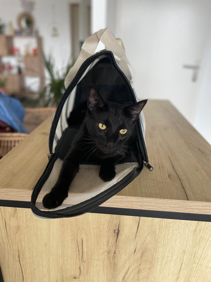 Sac de transport pour chat Coeur de Chat
