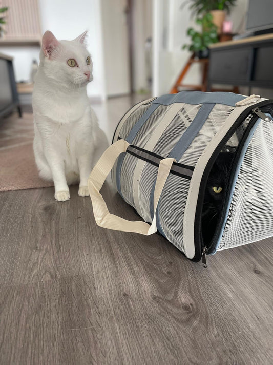 Sac de transport pour chat Coeur de Chat
