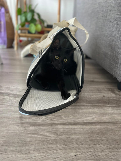 Sac de transport pour chat Coeur de Chat