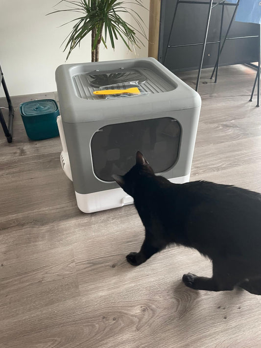 Bac à litière pour chat avec pelle et tamis Coeur de Chat