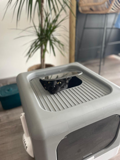 Bac à litière pour chat avec pelle et tamis Coeur de Chat