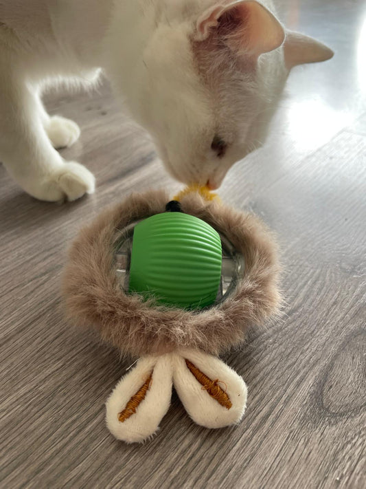 Balle électrique interactive pour chat Coeur de Chat