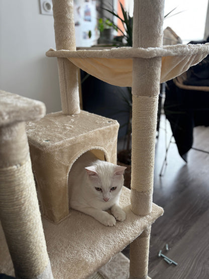 Arbre à Chat Haut Coeur de Chat - un chat blanc est dans une cachette