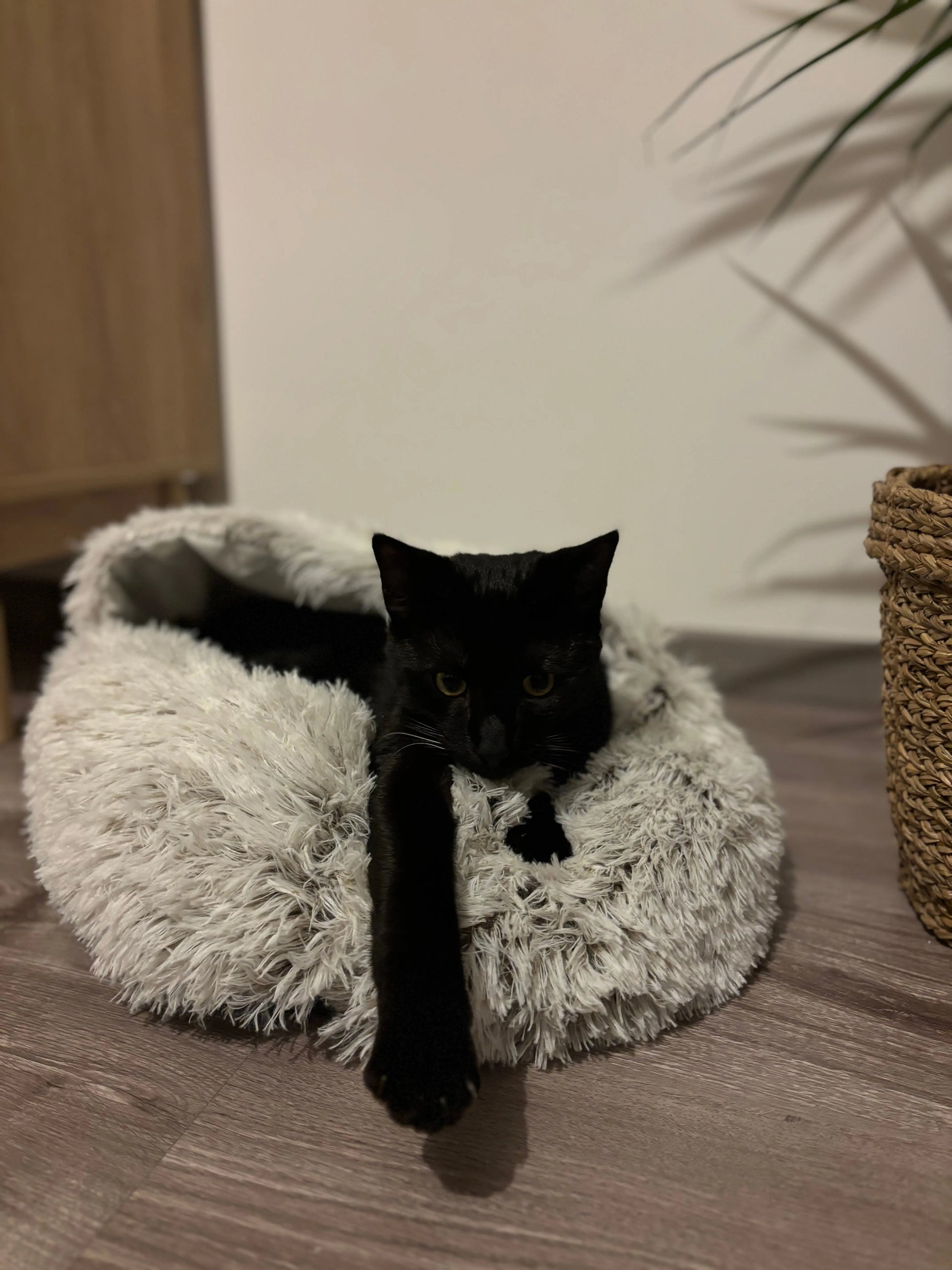 Nid douillet Coeur de Chat, un chat noir nous regarde alors qu'il est allongé dans le panier douillet