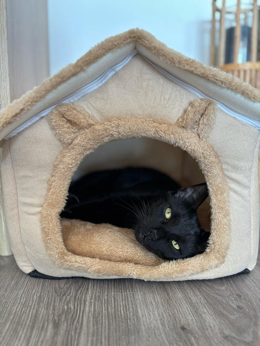 Caverne pour chat – Maison confortable lavable en machine Coeur de Chat