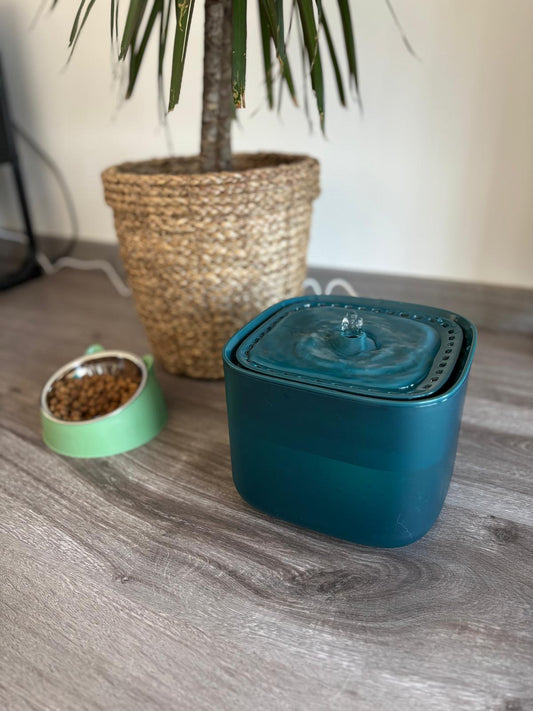 Fontaine à eau automatique pour chat 3L Coeur de Chat de couleur verte