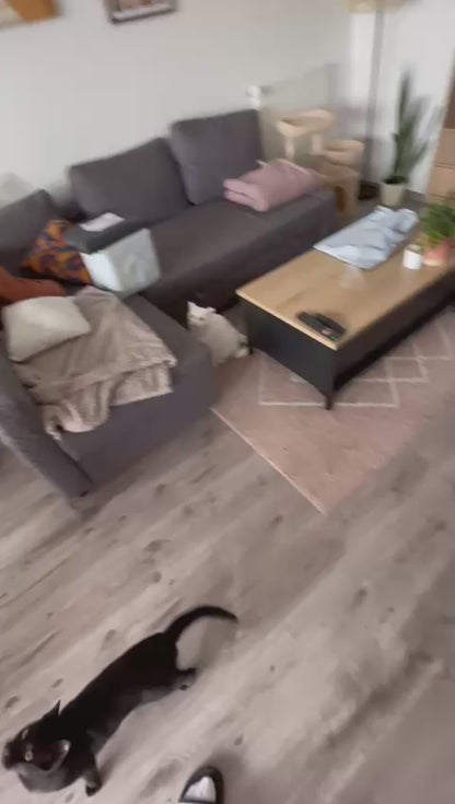Jouet plume interactif pour chat avec tige en bois et clochette