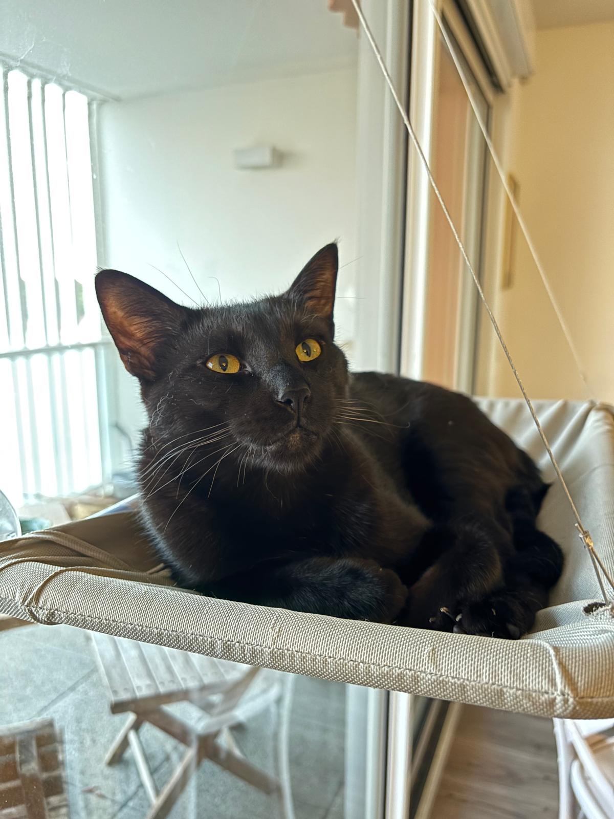 Valeurs - Rio et Vador